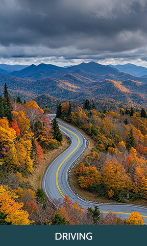 Driving - See the Cherohala Skyway