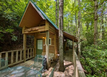 Little Tree Cabin